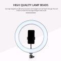 Tiktok led light at reasonable price. 