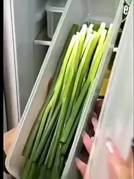 Refrigerator fresh-keeping storage box, fresh-keeping artifact,Small Food Preservation Boxes,Transparent Sealed Storage Box