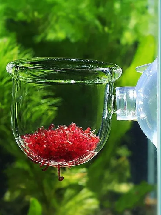 Acrylic%20Aquatic%20Plant%20Cup%20Aquarium%20Fish%20Tank%20Glass%20Plant%20Pot%20with%20suction%20holder%20Feeding%20Container%20Stand%20for%20Aquarium%20Lanscape%20-%20Image%204