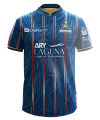 Pakistan Super League 2025 Official Article Customize Jersey 2025 With Your Name And Number| PSL SHIRTS 2025 | NEW PSL SHIRTS. 
