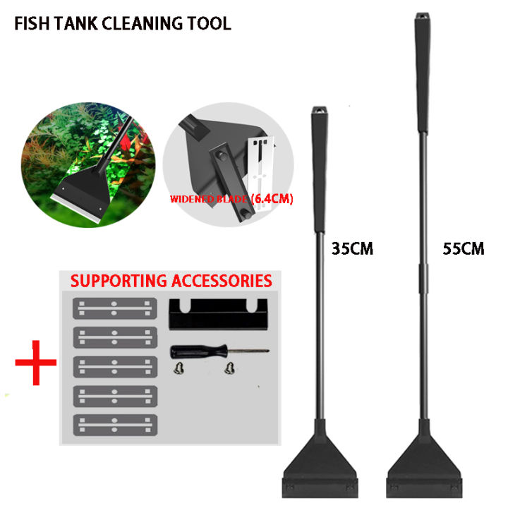 View of Aquarium cleaner fish tank algae removal scraper water grass flat sand ...