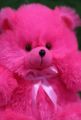 Luxury Plush small Teddy Bear Premium Quality and Ultra Soft suitable for gift. 