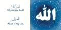 My Aqeedah - Board Book in English and Arabic - Bilingual Board Book - Kids Books - Islamic books for children - Arabic books - English Islamic Hard Book for kids - Book on Islam - Book on Belief of Islam - Children books - Toddler Books - Babies books. 