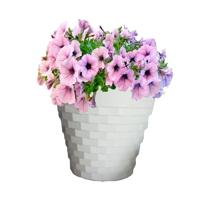 5%20Pcs%20Flower%20pots%20diameter%2020cm%20height%2018cm%20/%20Diamond%20design%20high%20quality%20plastic%20pots%20white%20color%20-%20Image%202