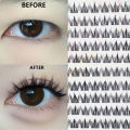 Self-Adhesive Eyelashes - No Glue Needed, C-Curl, Japanese-Korean Beauty Series for Everyday &Special Events-Beginner-Friendly. 