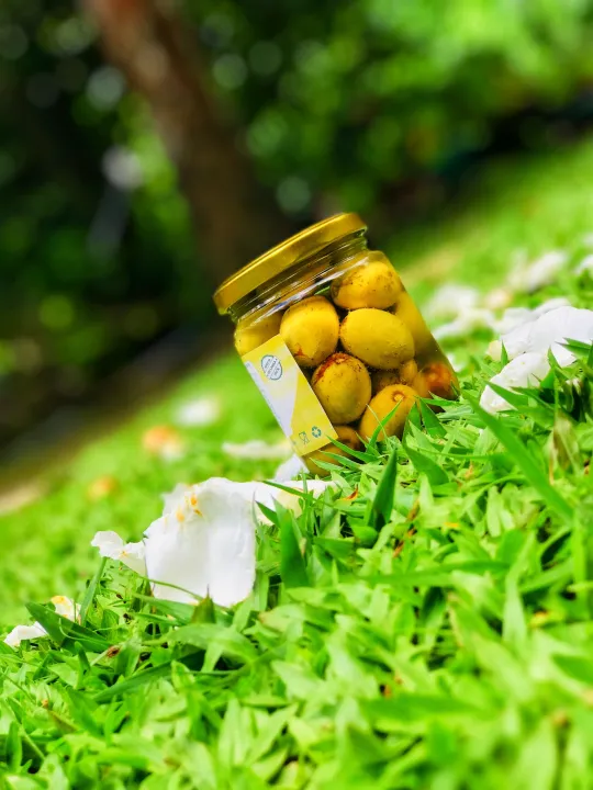 Brine%20Ceylon%20Olive,%20Ceylon%20Olive%20,%20Fruit%20,%20Brine%20Fruit%20,%20Fruit%20sri%20lanka,%20ceylon%20fruit%20,%20ceylon%20,%20olive,%20-%20Image%205