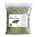 Organic Rosemary Leaves 30 grams | Best for Hair Growth - Nashpati Organics. 