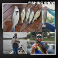 Spinpoler 2" 3" 4" Soft Fishing Lures Jerk Minnow Shad Drop Shot Soft Bait Swimbait Split Tail for Bass Trout Pike Walleye Pesca.