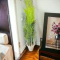 Artificial green plant 4 feet. 