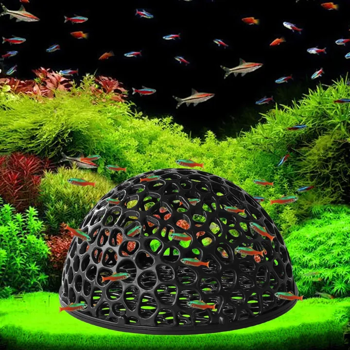 %E3%80%902025%20NEW%E3%80%91%20Shrimp%20Breeding%20Cave%20fish%20tank%20Shrimp%20Hiding%20Place%20Aquarium%20Decoration%20Hiding%20Tools%20Supplies%20Betta%20Habitat%20Fish%20Resting%20Place%20-%20Image%206