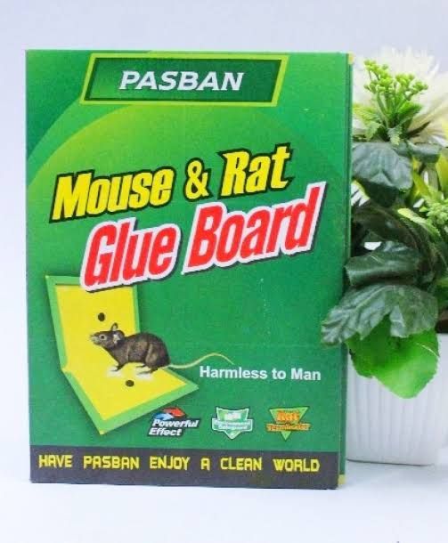 mouse catcher magic book pack of 2