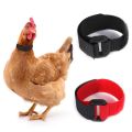 2PCS Chicken Collar Anti-Hook Noise Free Neckband Collars No Crow Rooster Collar Prevent Chickens from Crowing Supplies. 