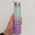 300ml 1pc Gradient Frosted Water Bottle. 