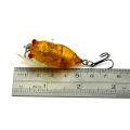 HENGJIA 1pcs Fishing Lure Bass Cicada Pesca 6g 4.2cm Simulation Insects Hard Bait Crankbait Fishing Wobblers Tackle.