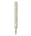 Mercury Thermometer flat Glass. 