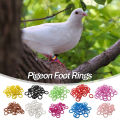 100Pcs Pigeon Foot Rings Elastic 8mm Mixed Colors Identification Rings for Carrier Racing Pigeons Quails Birds Appliances. 