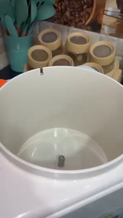 Dough Maker Machine – Flour Kneader Machine – Atta Gondnay Wali Machine – 3.5 KG, 5 KG, 5 L, 6.5 L Capacity – Automatic Electric Roti, Naan, Pizza & Bread Dough Maker – Heavy Duty, Stainless Steel, Efficient & Quick Kneading for Home & Commercial Use