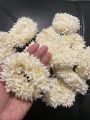 Mogra Gajra Hair Accessories for Women & Girls - Hair Flower Bun Artificial Fake Gajra Scrunchies Rubber Band to Wear on Wedding. 