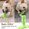 Pet Dog Cactus Interactive  Chew Toys For Small Large Dogs Tooth Cleaning Toothbrush For Medium Large Dogs Treat Dispenser. 
