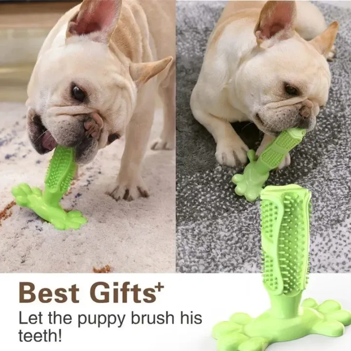 Pet%20Dog%20Cactus%20Interactive%20%20Chew%20Toys%20For%20Small%20Large%20Dogs%20Tooth%20Cleaning%20Toothbrush%20For%20Medium%20Large%20Dogs%20Treat%20Dispenser%20-%20Image%203