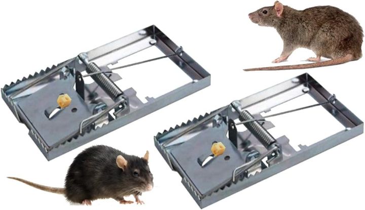 Large%20Heavy%20Duty%20Rat%20Catching%20Metal%20Traps%20%7C%20Rat%20Trap%20%7C%20Kariki%20%7C%20Mouse%20Trap%20%7C%20Heavy%20Duty%20Snap%20Mechanism%20Mouse%20Trap%20Catcher%20for%20Rodent%20Control%20-%20Quality%20Assured%20Thing%20-%20Image%207