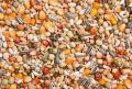 pigeon feed/hens feed. 
