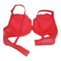 SISTERHOOD PUSHUP FOAM BRA. 