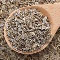 Nepali Sup / Neapli Saunf / Fennel Seed - 100Gm. 