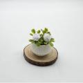1Pcs Doll House Living Room Scene Decoration Mini Rose Plant Potted Plants Model Miniature Landscape Handicrafts. 