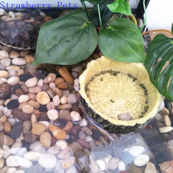 Resin%20Aquarium%20Pet%20Reptile%20Feeder%20Bowl%20Basin%20Food%20Water%20Pot%20Reptile%20Turtle%20Tortoise%20Scorpion%20Lizard%20Crabs%20Supplies%2010cm%20-%20Image%204