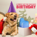 Funny Dog Toys with Squeaker - Funny Cute Parody Dog Toys - Puppy and Dog Toys for Small, Medium and Large Dogs. 
