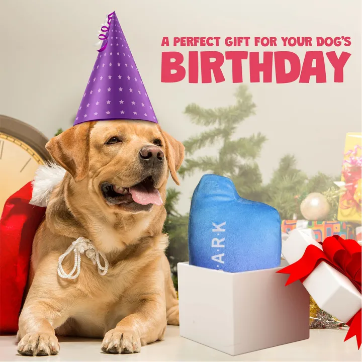Funny%20Dog%20Toys%20with%20Squeaker%20-%20Funny%20Cute%20Parody%20Dog%20Toys%20-%20Puppy%20and%20Dog%20Toys%20for%20Small,%20Medium%20and%20Large%20Dogs%20-%20Image%205