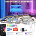 Tuya Wifi 5V USB LED Strip Lights 5050 RGBCCT Led Light Flexible Lamp Tape APP Control Room Party TV Desk Bedroom for . 