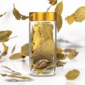 Spicy Bottle Transparent -10 Pcs Set Medium Size / Plastic Spicy Bottle Set. 