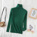 Autumn Winter Turtleneck Women Pullover Sweater Basic Solid Slim Fit Stretch Soft Ribbed Knitted Top Casual Woman Sweaters. 