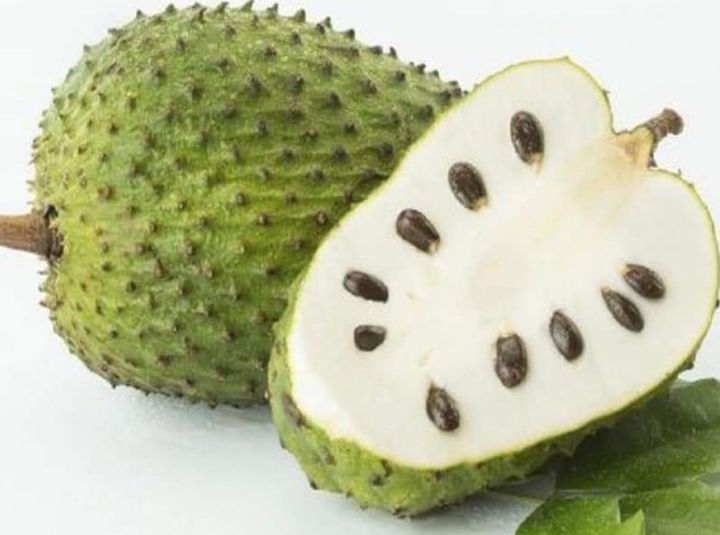 Korosol%20tree%20cancer%20solution%20green%20tree%20-%20Image%206