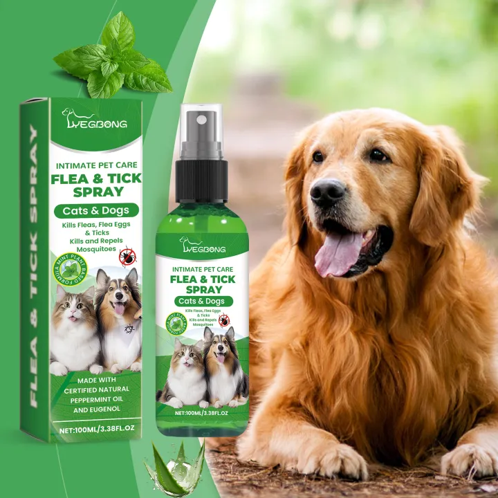 Mite%20Removal%20Spray%20Cats%20Dogs%20Flea%20Killer%20Itching%20Relief%20Remove%20Ticks%20Cat%20Allergy%20Treatments%20Anti%20Lice%20Insect%20Pet%20Skin%20Care%20Spray%20-%20Image%203