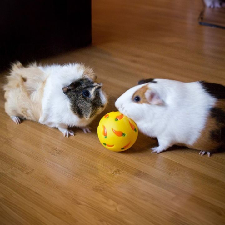 1pc%20Random%20Color%20Interesting%20Puzzle%20Toy%20Carrot%20Printed%20Ball%20Pet%20Feed%20Dispenser%20Toy%20Slow%20Feed%20for%20Small%20Pet%20Cat%20Rabbits%20Hamsters%20-%20Image%205
