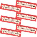 6 Sets Acrylic Resin Fake Teeth Artificial Teeth Denture Dental Tooth Prop Synthetic Resin Denture for Replacement DIY Halloween. 