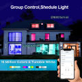 Tuya E27 Led Lamp App Control Bluetooth /WiFi Led Light Bulbs 15W RGB CW WW Smart Bulb Works With  Alexa  Assistant. 
