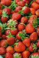 High Qulity Strawberry Plant  (ආනයනික හනීයන්  ප්‍රබේදයේ හොදම ස්ටෝබේරී පැල). 