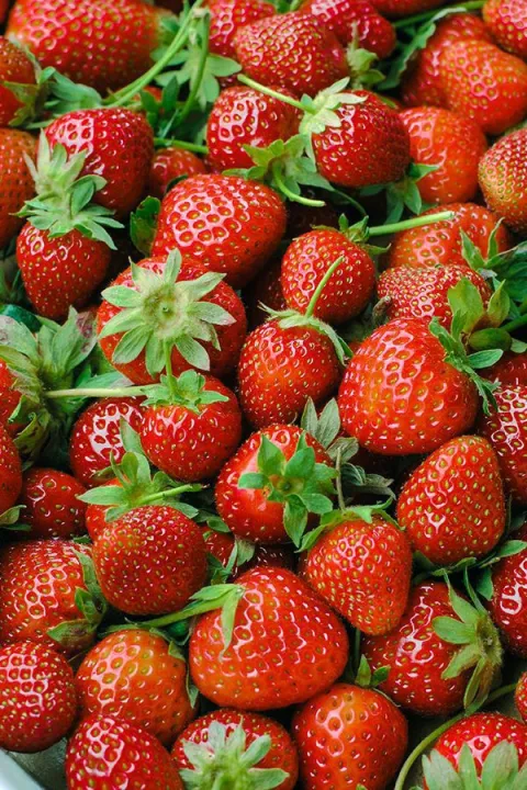 High Qulity Strawberry Plant  (ආනයනික හනීයන්  ප්‍රබේදයේ හොදම ස්ටෝබේරී පැල)