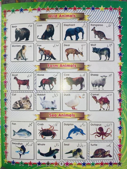 All%20in%20One%20Book%20for%20Kids-Early%20Learning%20Books%20-%20Children%20Book%20for%20Playgroup,%20Pre%20Nursery,%20Nursery,%20Starter%20and%20Kg%20Classes%20-%20Childrens%20Early%20Learning%20books%20-%20Children%20Home%20Schooling%20Books%20-%20Image%208