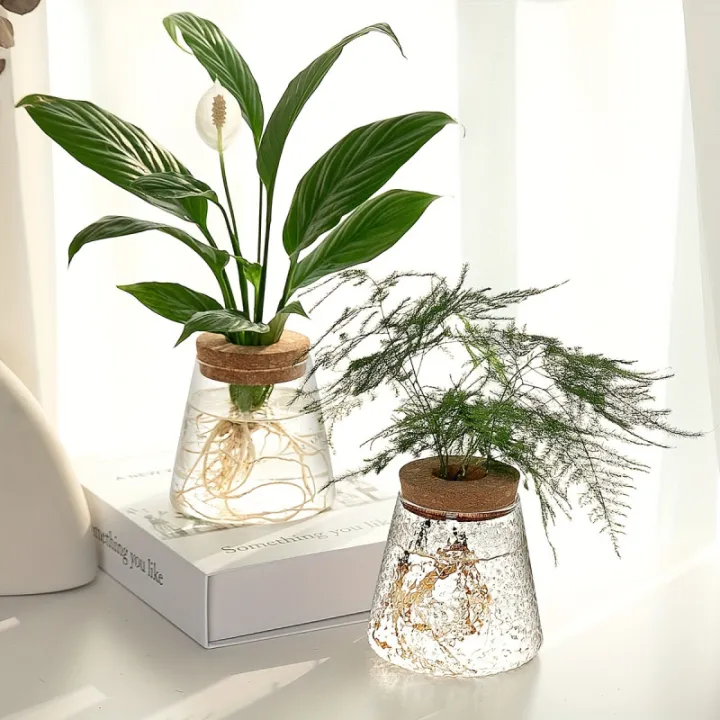 1pc,%20glass%20flowerpot%20breeding%20station%20vase%20rack%20desktop%20hydroponic%20plant%20cuttings%20office%20home%20decoration%20-%20Image%202