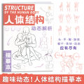 Anime Characters Tracing Sketch Hand Painted Tutorial Book Structure Of The Human Body Copy Practice Line Draft Practice Books.