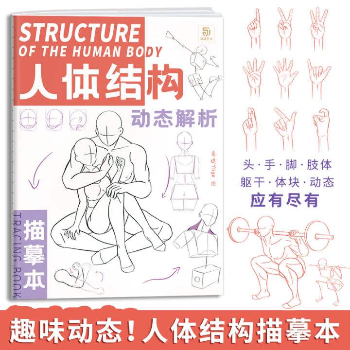 Anime%20Characters%20Tracing%20Sketch%20Hand%20Painted%20Tutorial%20Book%20Structure%20Of%20The%20Human%20Body%20Copy%20Practice%20Line%20Draft%20Practice%20Books%20-%20Image%202
