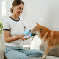 Zen Pupper Deckies Parody Dog Toy - Plush Squeaky and Crinkle Funny Dog Toy - Drool Mint. 