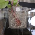 Aquarium Plant Basket Transparent Fish Tank Hanging Decorations Pot Aquatic Plants Holder Aquatic Plant Cup Fish Tank Planter. 