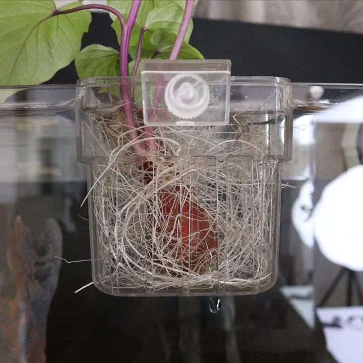 Aquarium%20Plant%20Basket%20Transparent%20Fish%20Tank%20Hanging%20Decorations%20Pot%20Aquatic%20Plants%20Holder%20Aquatic%20Plant%20Cup%20Fish%20Tank%20Planter%20-%20Image%203