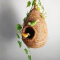 One Hanging Bird Nest with two birds & plant for home and garden decor. Babui Pakhir Basha of 02 size, ( Height with hanging rope15 inch & 14 inch ).